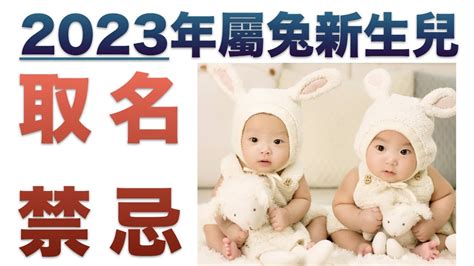 2023女寶寶名字五行|2023寶寶命名 姓名學五格